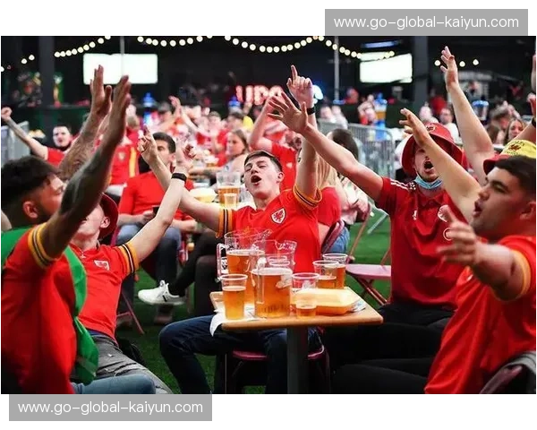 世界杯录像回放:点亮每一个瞬间的观赛之旅