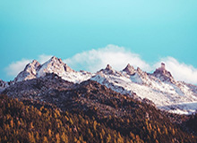 开云官网-球员参加澳网将接受14天隔离 训练搭档限定人数