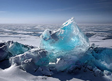 【足协杯】王彤佩莱进球 鲁能2比0苏宁夺第6冠