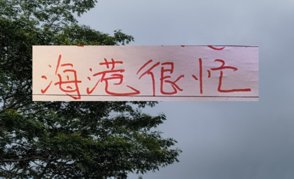 2026年海港应该是最忙的球队 去年还有申花陪 今年只能是孤勇者